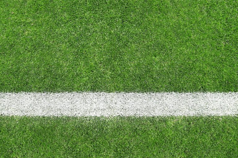 Image of a freshly cut and painted sports field. This is the placeholder for sports injuries. 